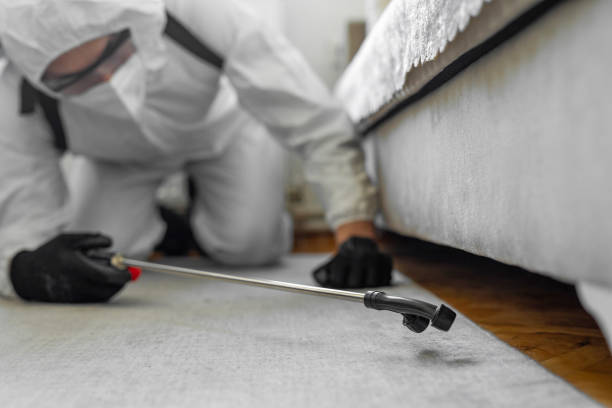 Professional Pest Control technician working in Canton, OH