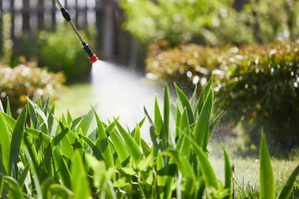24/7 Emergency Pest Control experts in Canton, OH
