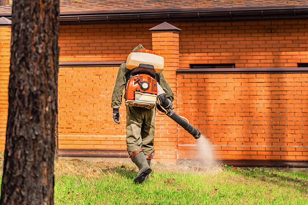Top rated local Pest Control specialists in Canton, OH